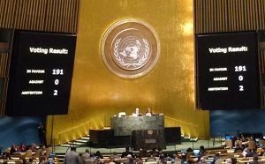 ONU pizarra votaciom