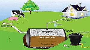 Biogas natural
