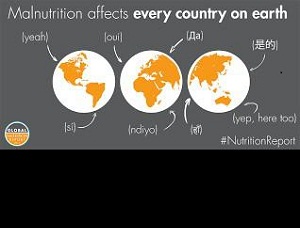 Diagrama de Malnutrición