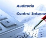 9503-auditoria-control-interno-768x389