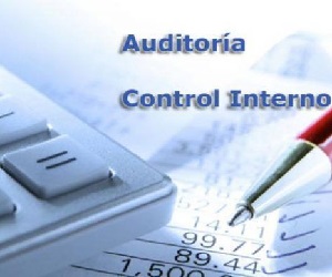 9503-auditoria-control-interno-768x389