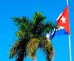 i-bandera-y-palma-cubania-JR