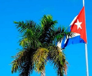 i-bandera-y-palma-cubania-JR
